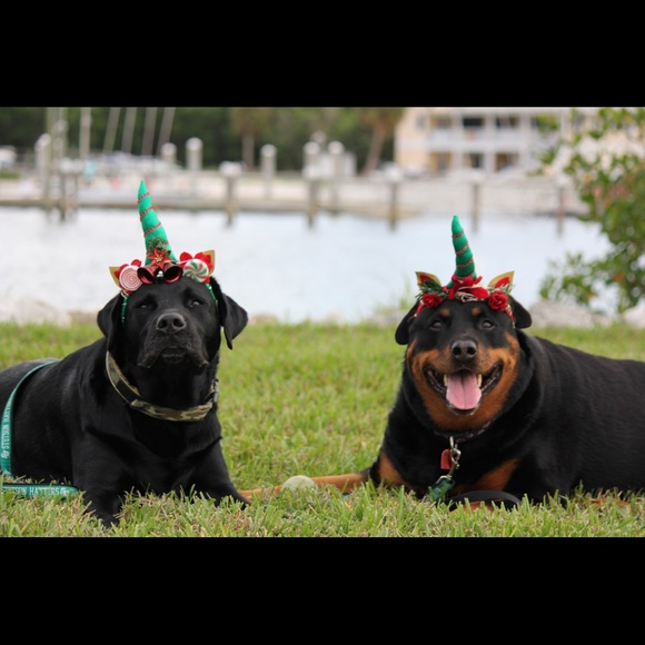 Meet your Posher, Joyce - Picture 1 of 1